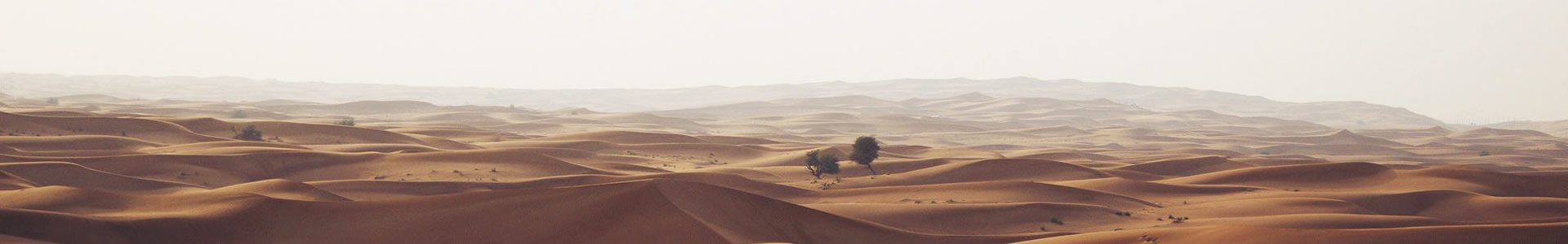 ػó޹˾